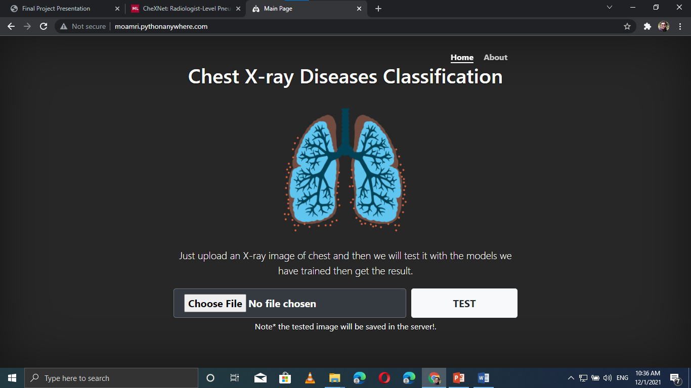 Final Year Project