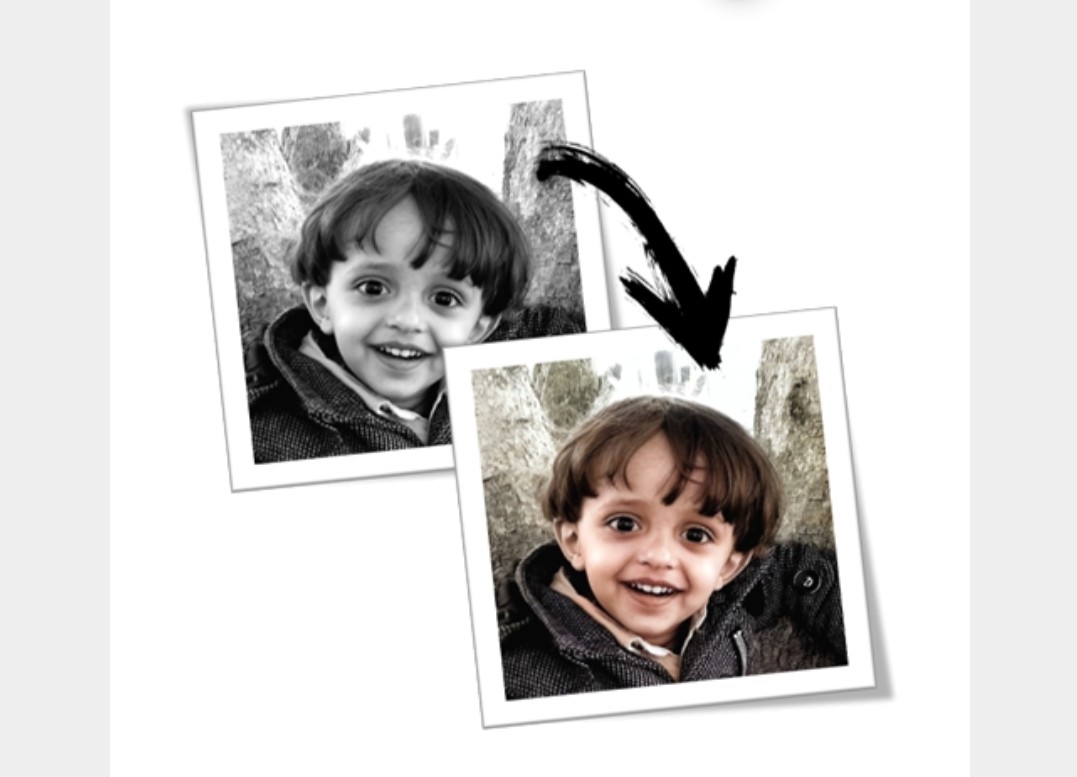 Images Colorizer